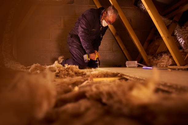 Best Insulation Air Sealing  in Highlands Ranch, CO